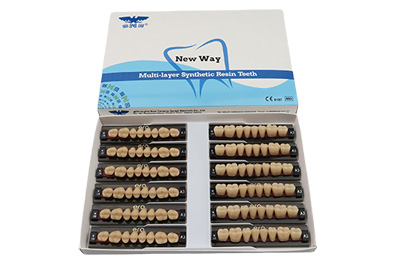 Three Layer Acrylic Resin Teeth - R102