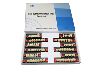 Two Layer Acrylic Resin Teeth - R201