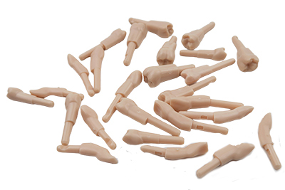 Replacement Tooth Model - TM-DK