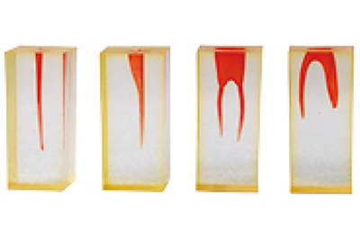 Dental Canal - TM-N2