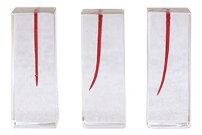 Dental Canal - TM-N8