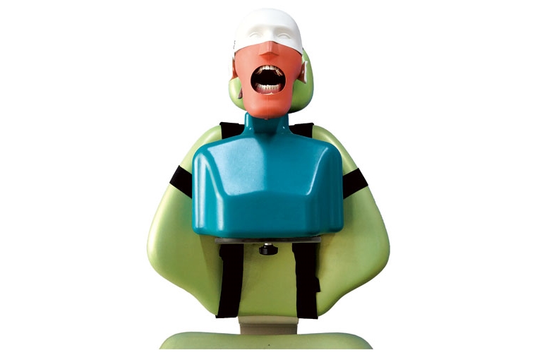 Phantom Head with Shoulder Torso - TM-U3